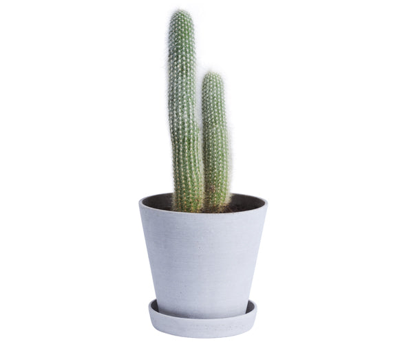 HAY Flowerpot with Saucer - Grey