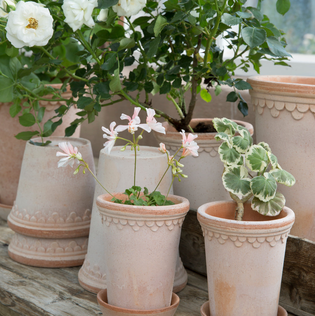 Bergs Potter Københavner krukke - 21x18 - rosa terracotta
