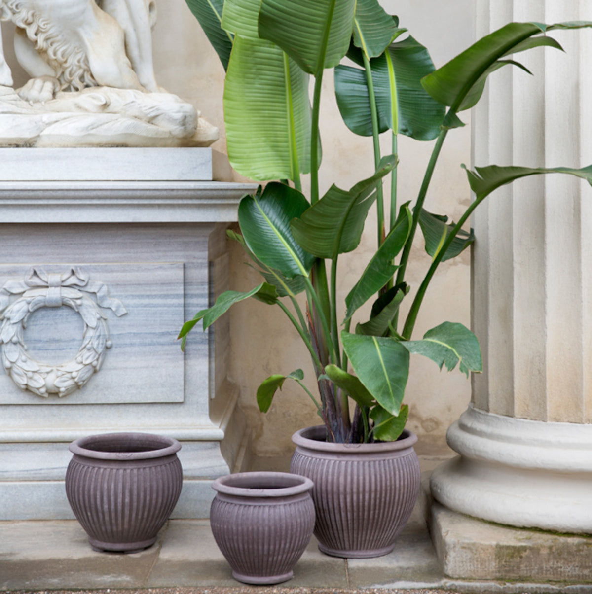 Bergs Potter Piccolina krukke - 40x36 - grå terracotta