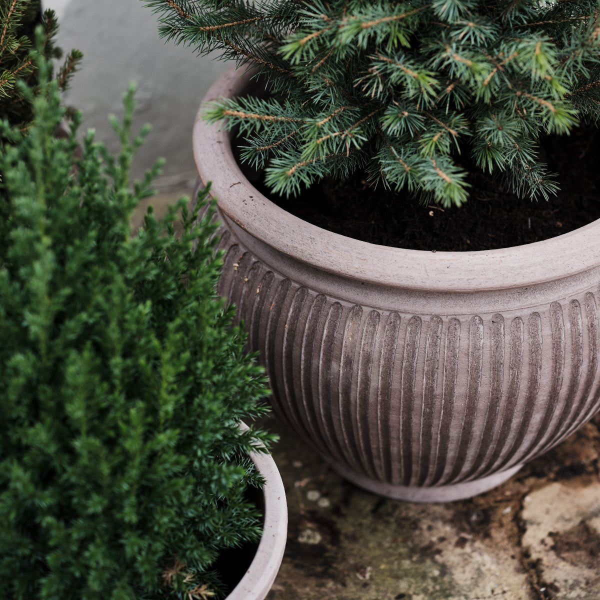 Bergs Potter Piccolina krukke - 40x36 - grå terracotta