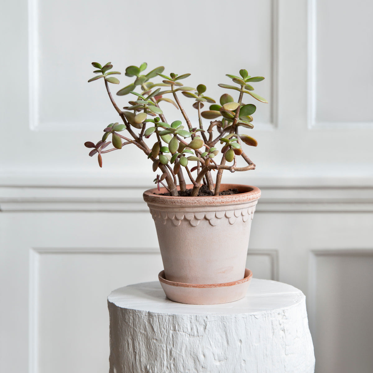 Bergs Potter Københavner krukke - 21x18 - rosa terracotta