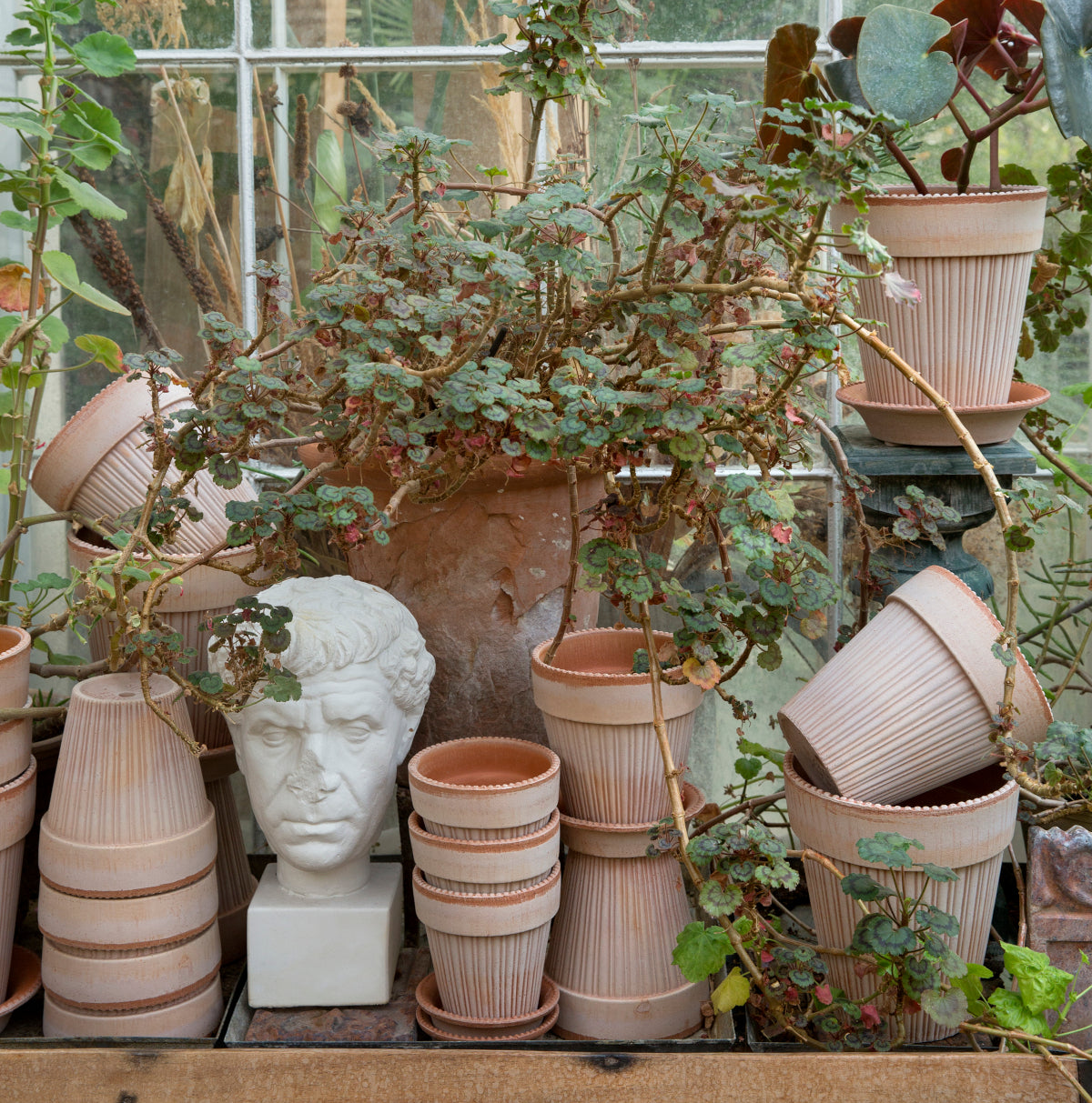 Bergs Potter Simona krukke - 14x15 - rosa terracotta