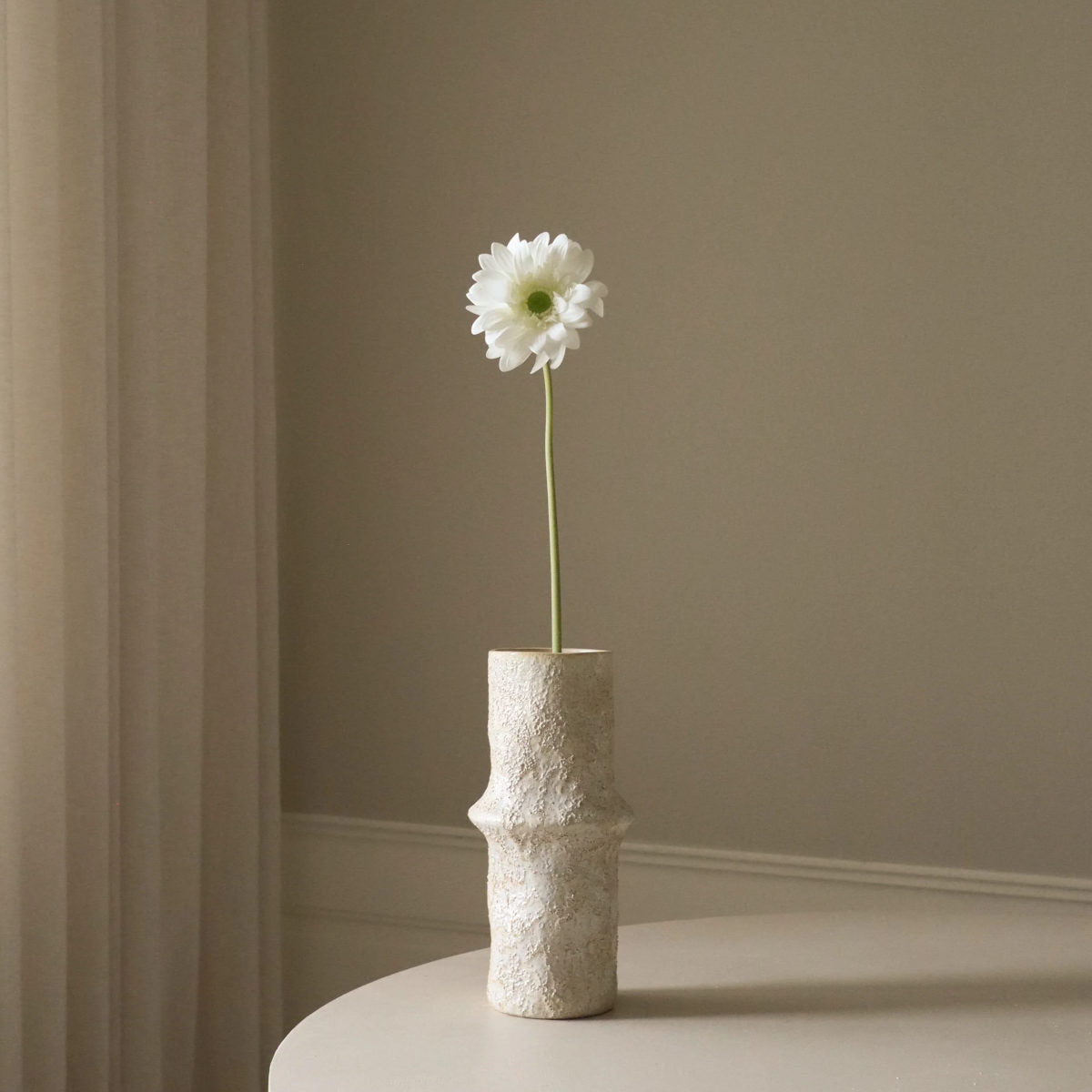 Botané Gerbera Daisy blomst - hvid