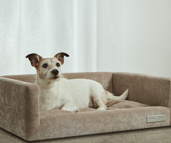 Carpe Diem Hundeseng - Small - Zaragoza Pebble