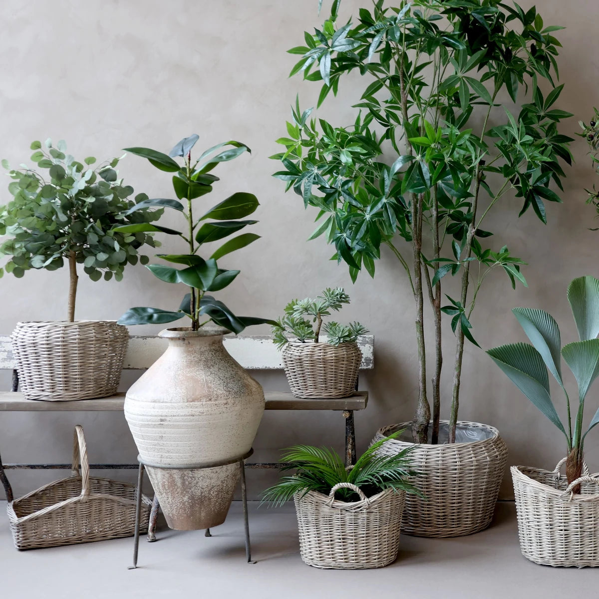 Chic Antique Sommerfuglepalme - 40