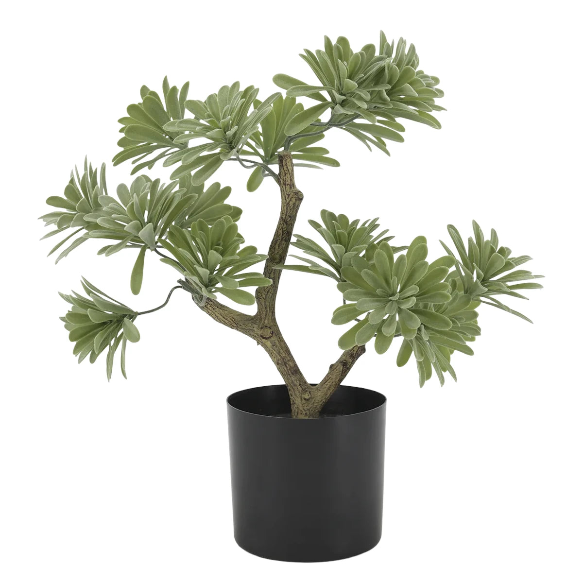 Chic Antique Sommerfuglepalme - 40