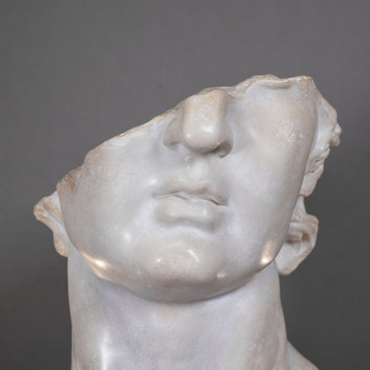 Fragment of Apollo Small Metropolitan - 53 cm