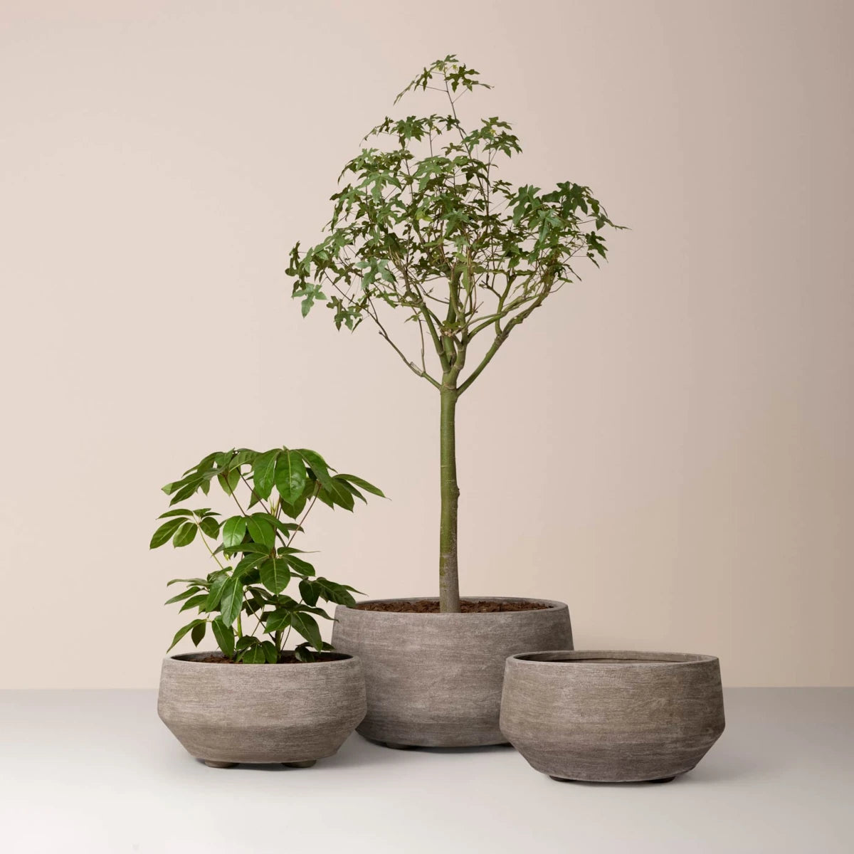 Bergs Potter Doma krukke - 70 - grå terracotta