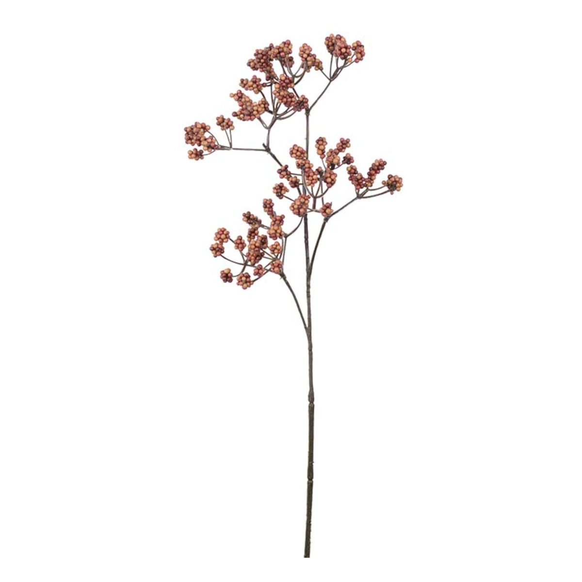 Mr. Plant Kvist m/bær - orange/brun - 38
