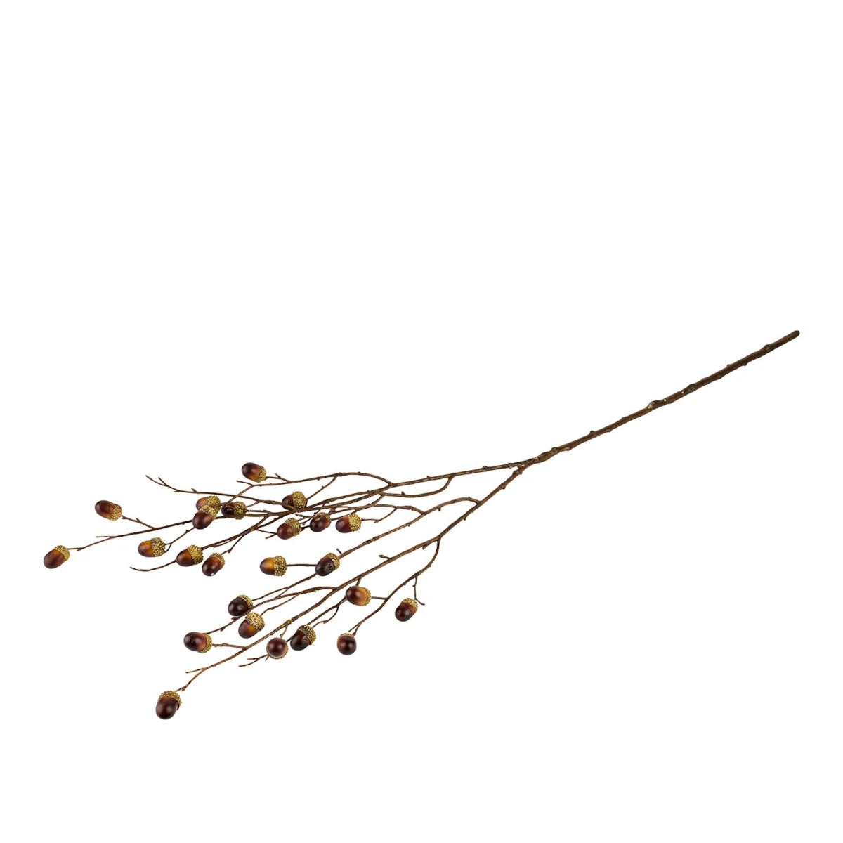 La Vida Ahorn gren - 100