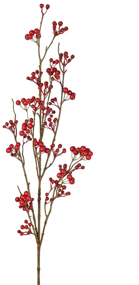 Mr. Plant Bærgren - rød - 100