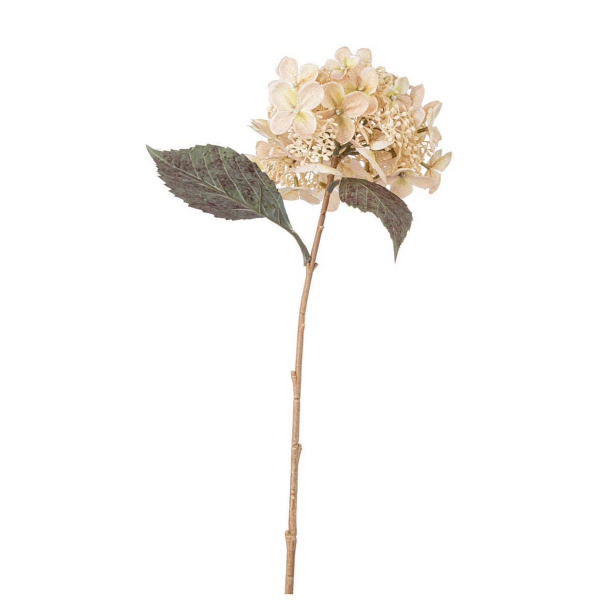Loryn Hortensia blomst - creme - 52 cm