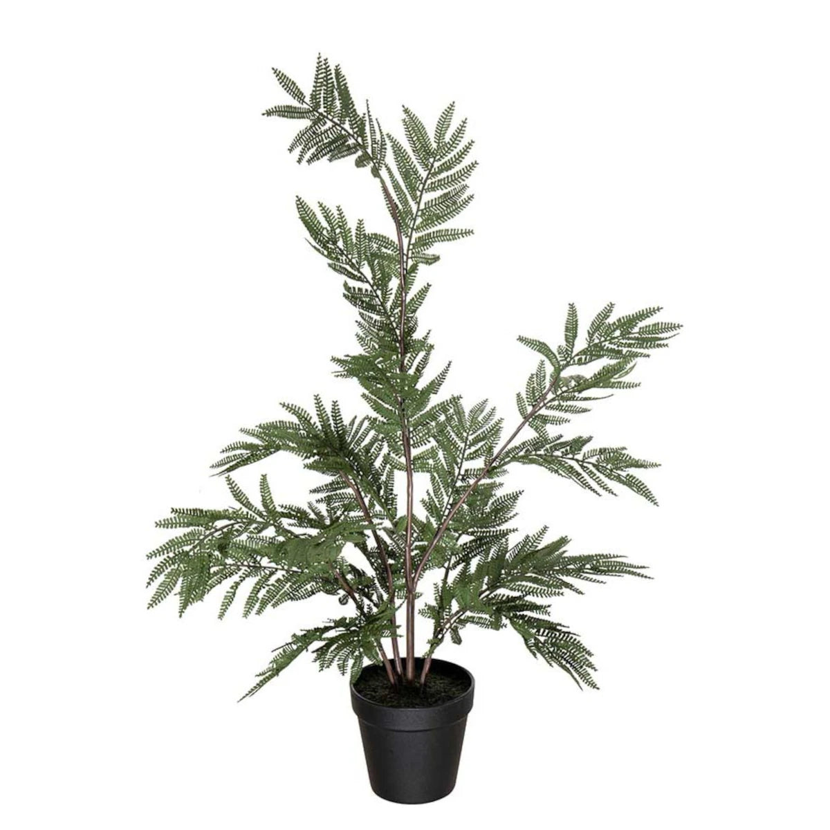 Mr. Plant Bregne plante - 70