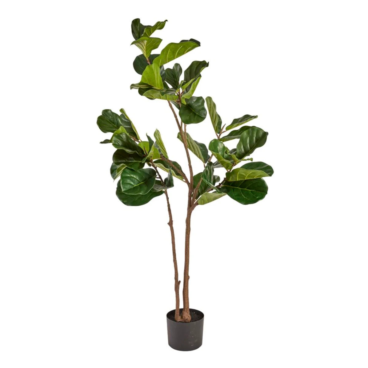 La Vida Kunstig Ficus Lyrata - 150