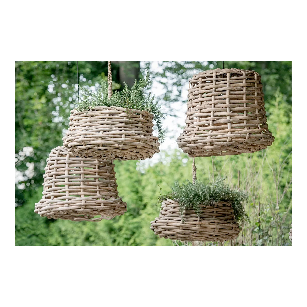 Gommaire Hanging Basket Luca