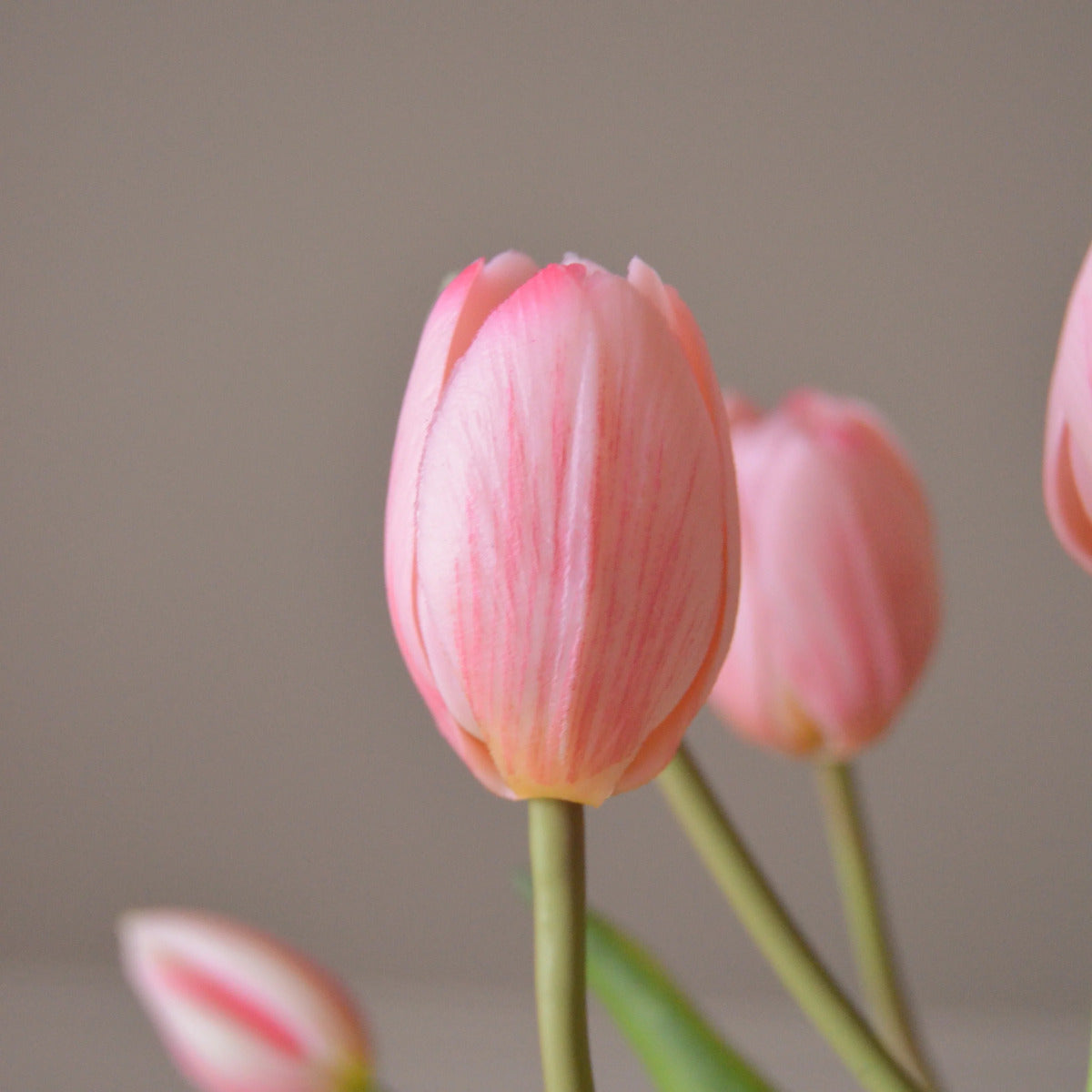 Botané Tulip buket - light pink