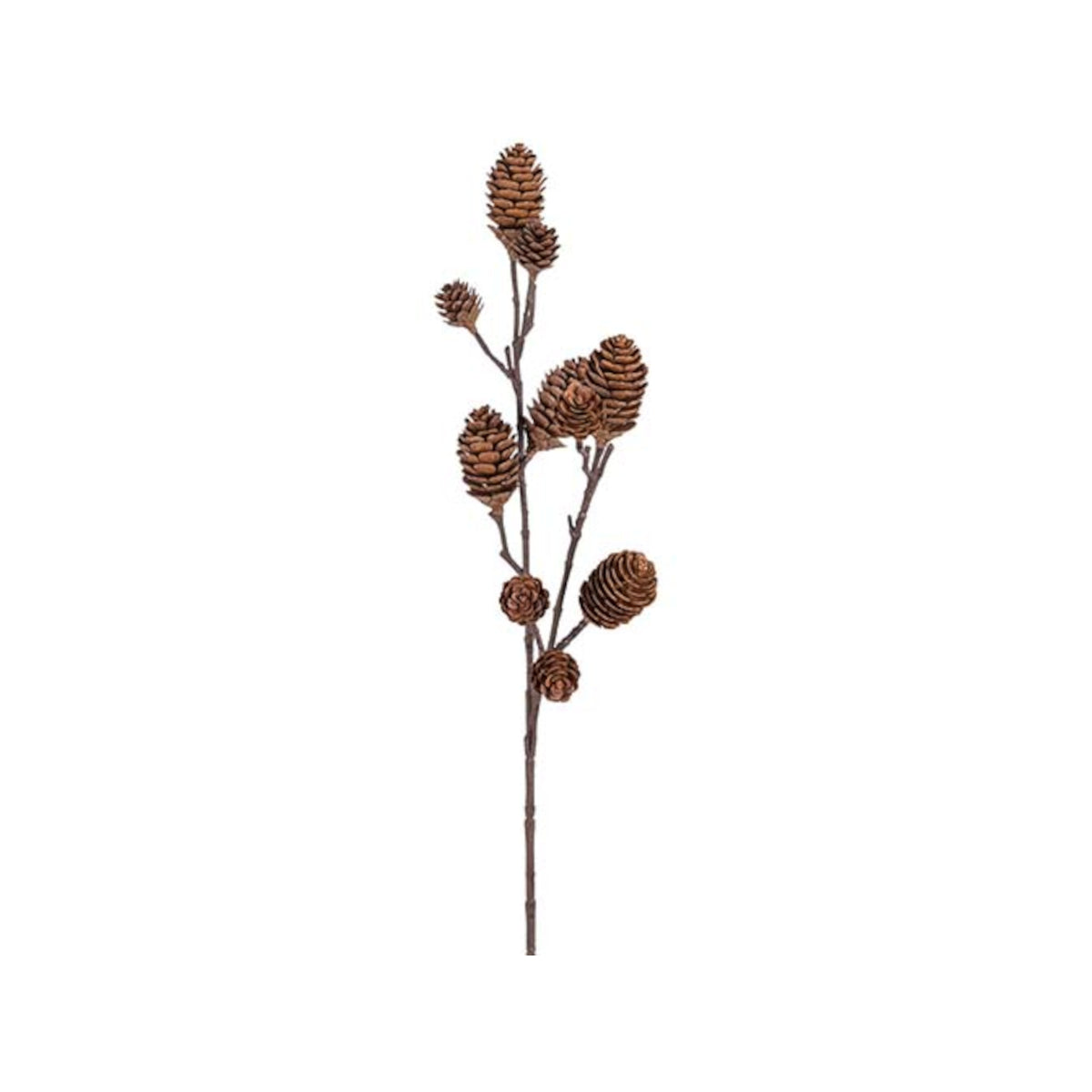 Mr. Plant Kogle gren - 70