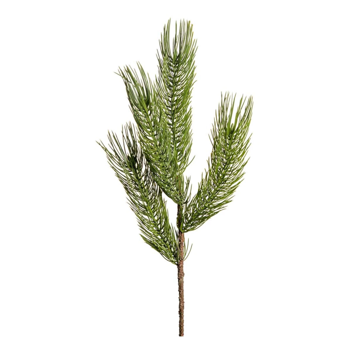 Mr. Plant Gran gren - 55