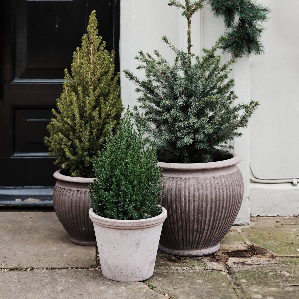 Bergs Potter Piccolina krukke - 40x36 - grå terracotta