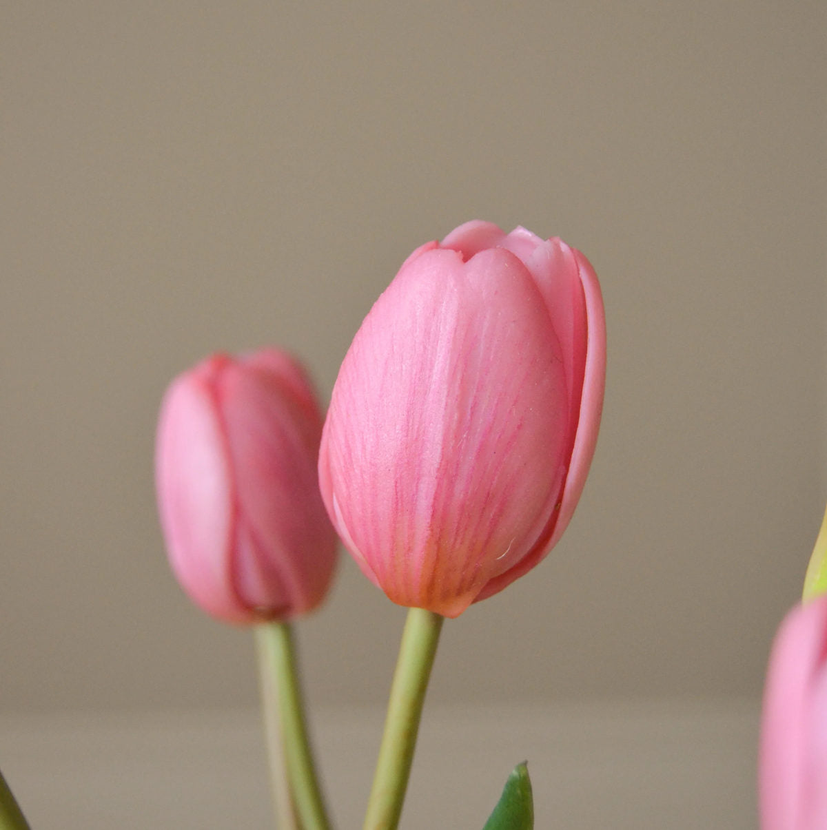 Botané Tulip buket - pink