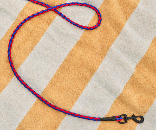 HAY Dogs Leash - Braided - Red-Blue