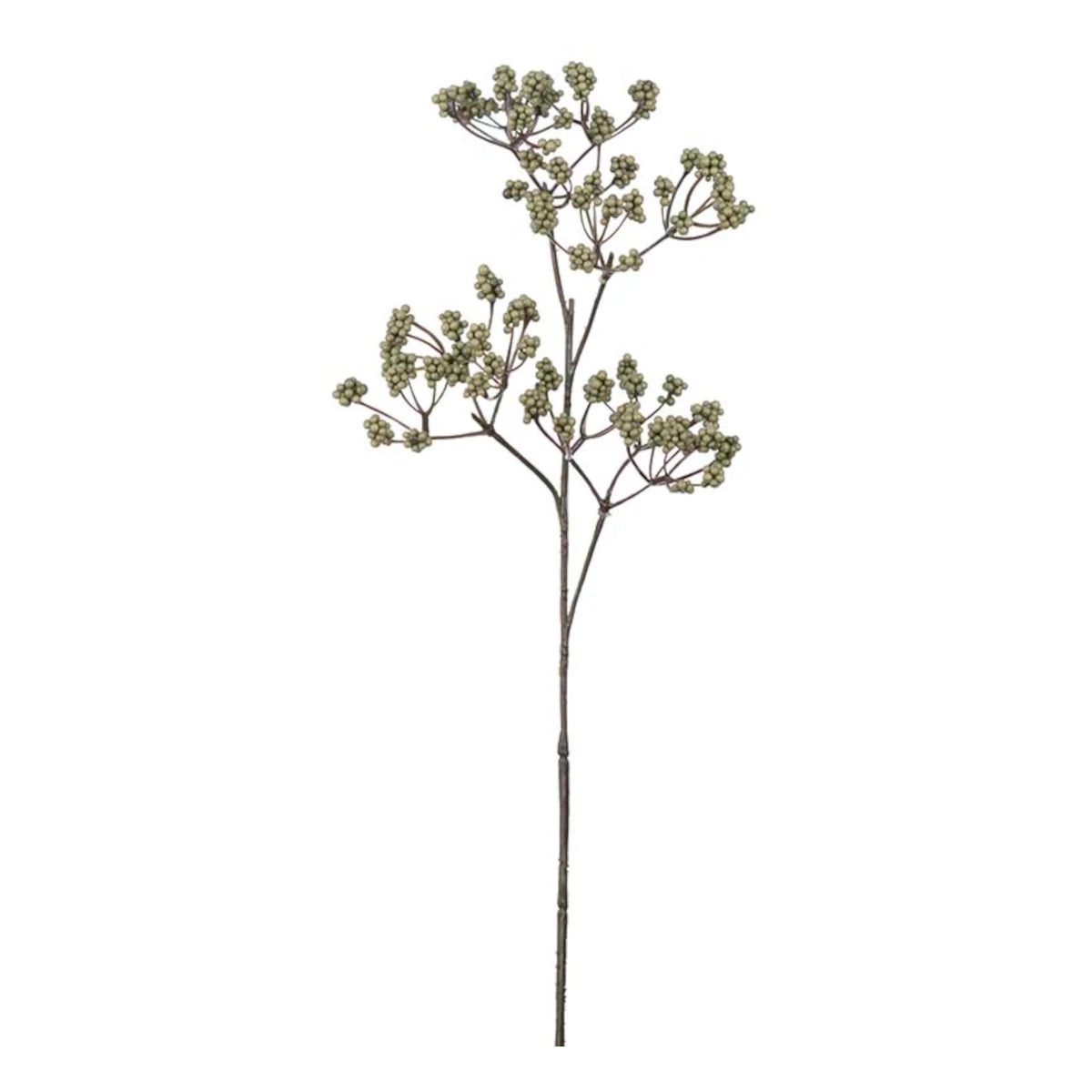 Mr. Plant Kvist m/bær - grøn/brun - 38