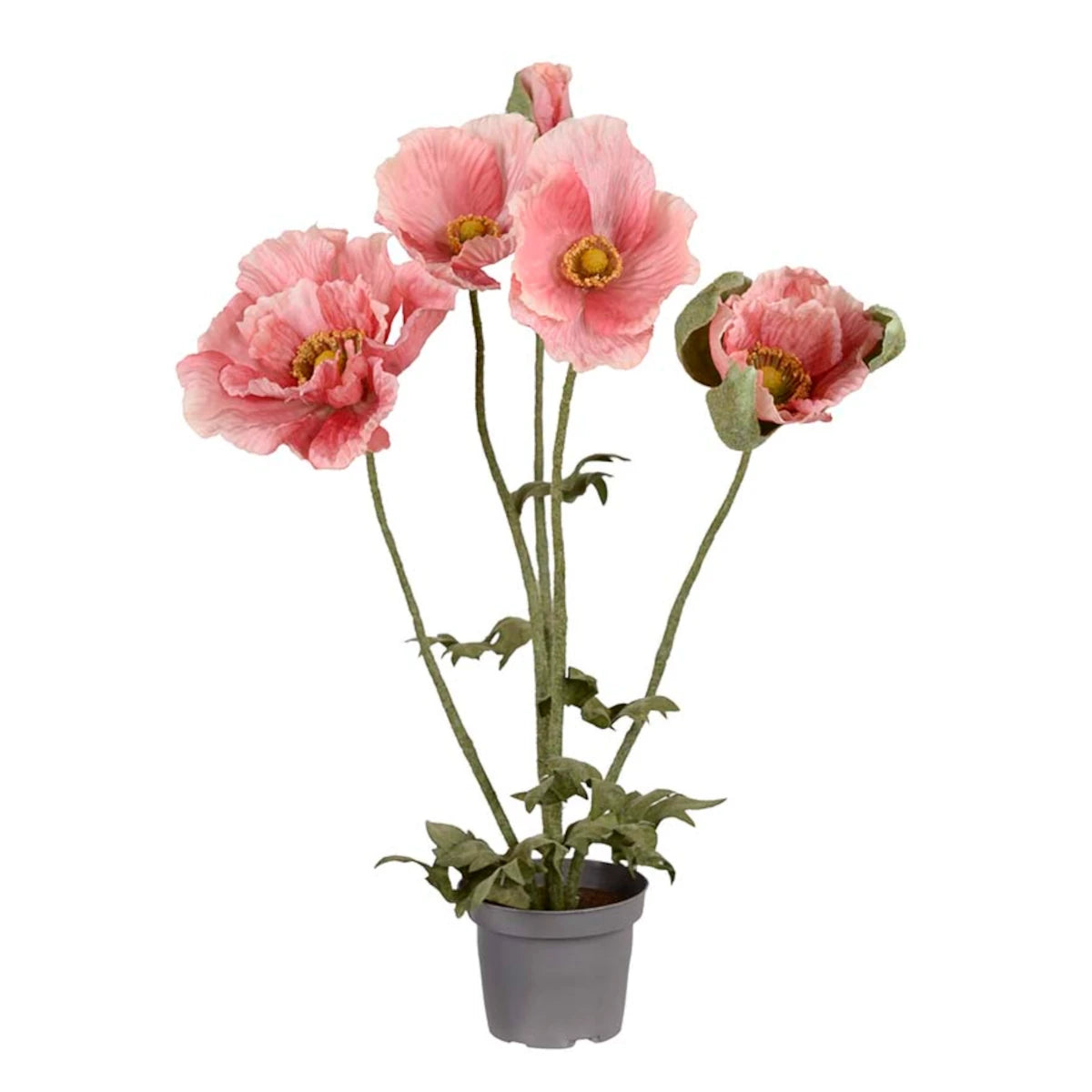 Mr. Plant Valmue plante - pink - 50