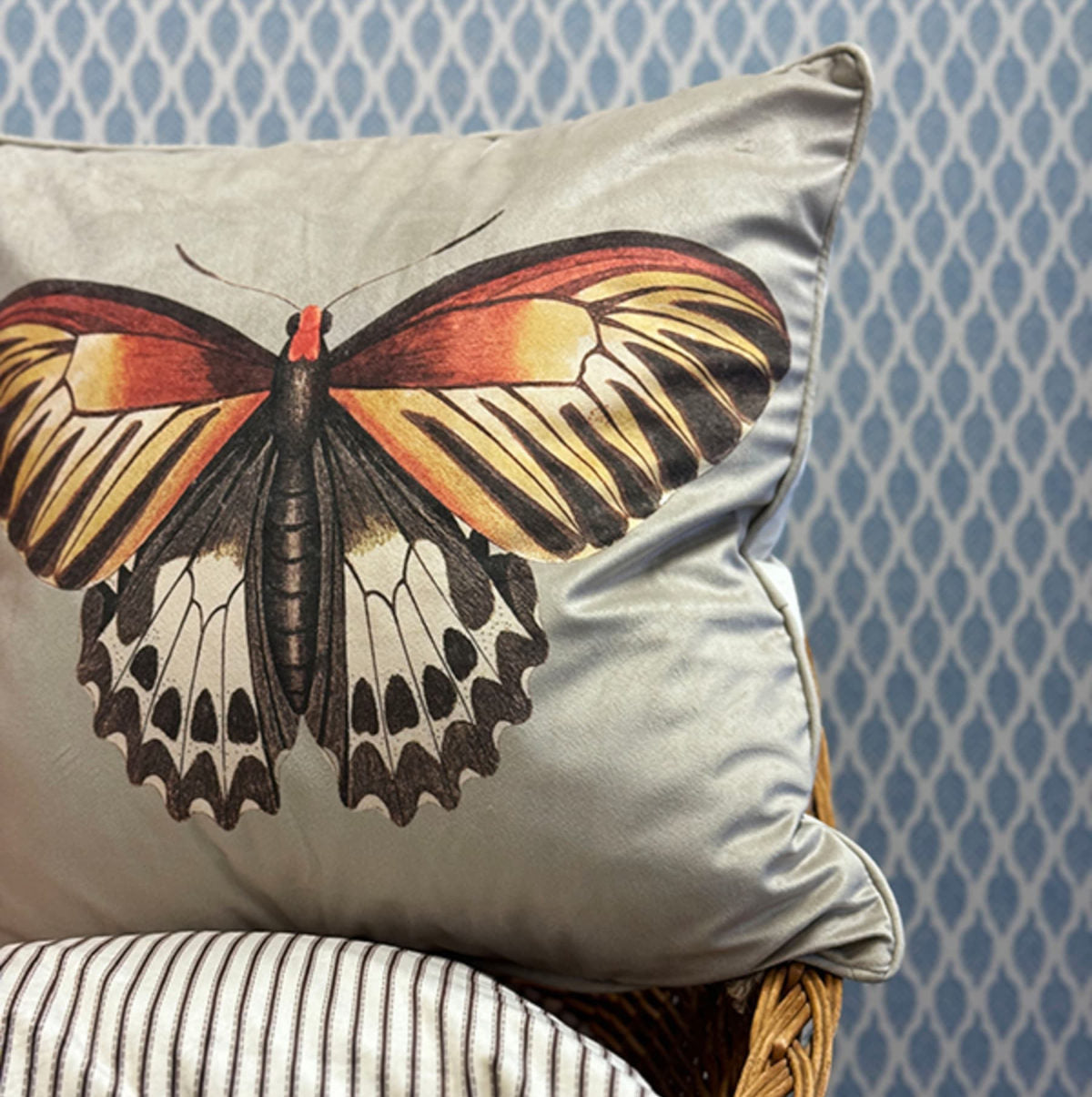 Vanillafly pude - biscotti butterfly - 50x50 - inkl fyld