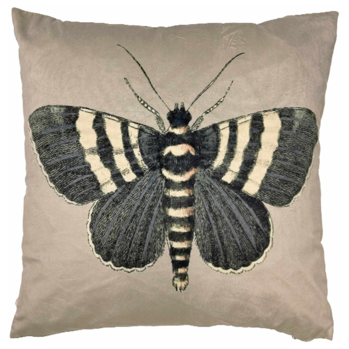 Vanillafly pudebetræk - black butterfly - 50x50
