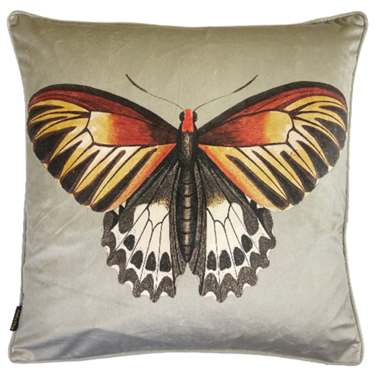 Vanillafly pude - biscotti butterfly - 50x50 - inkl fyld