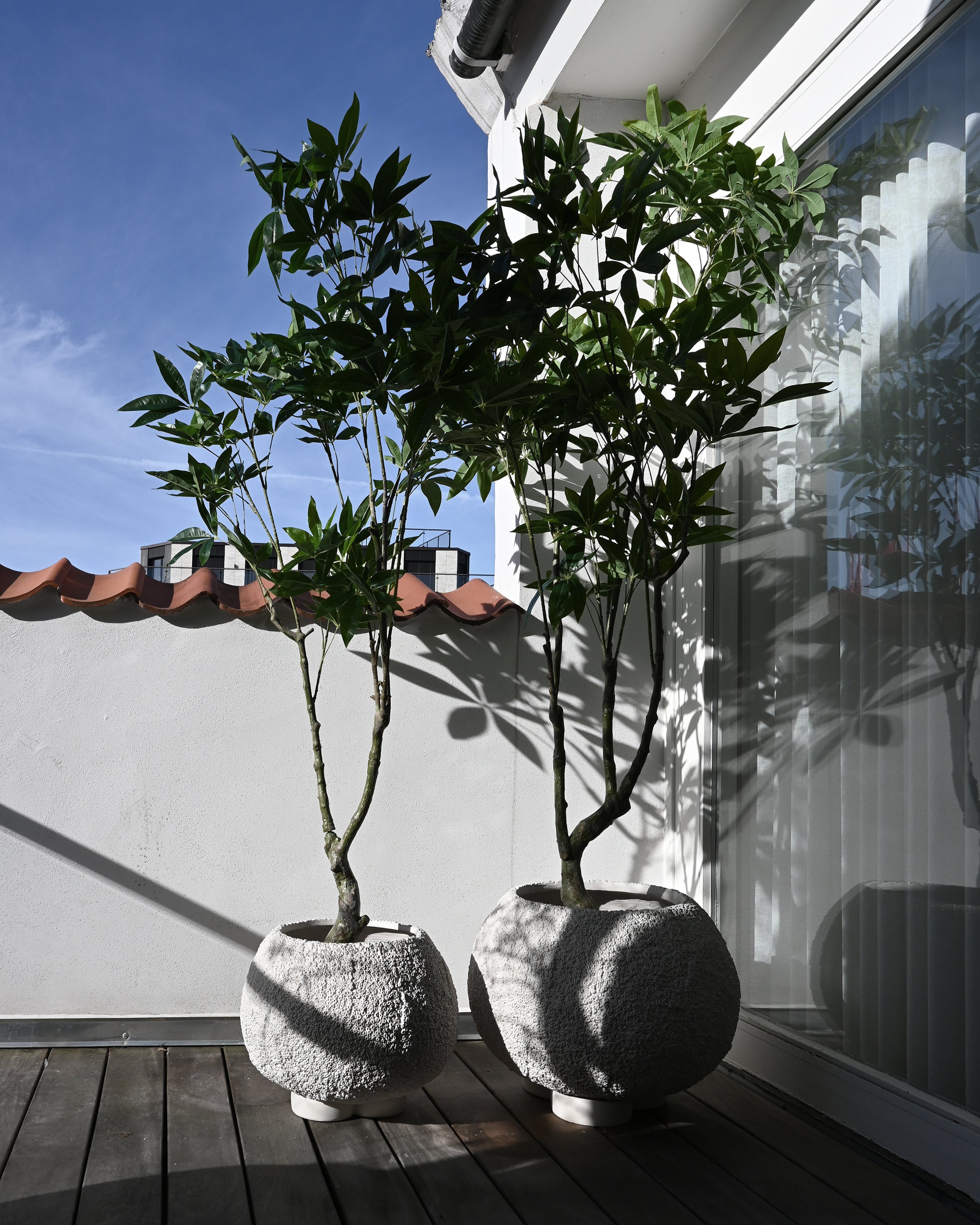 101 CPH Urchin Plant Pot, Medio - Beehive