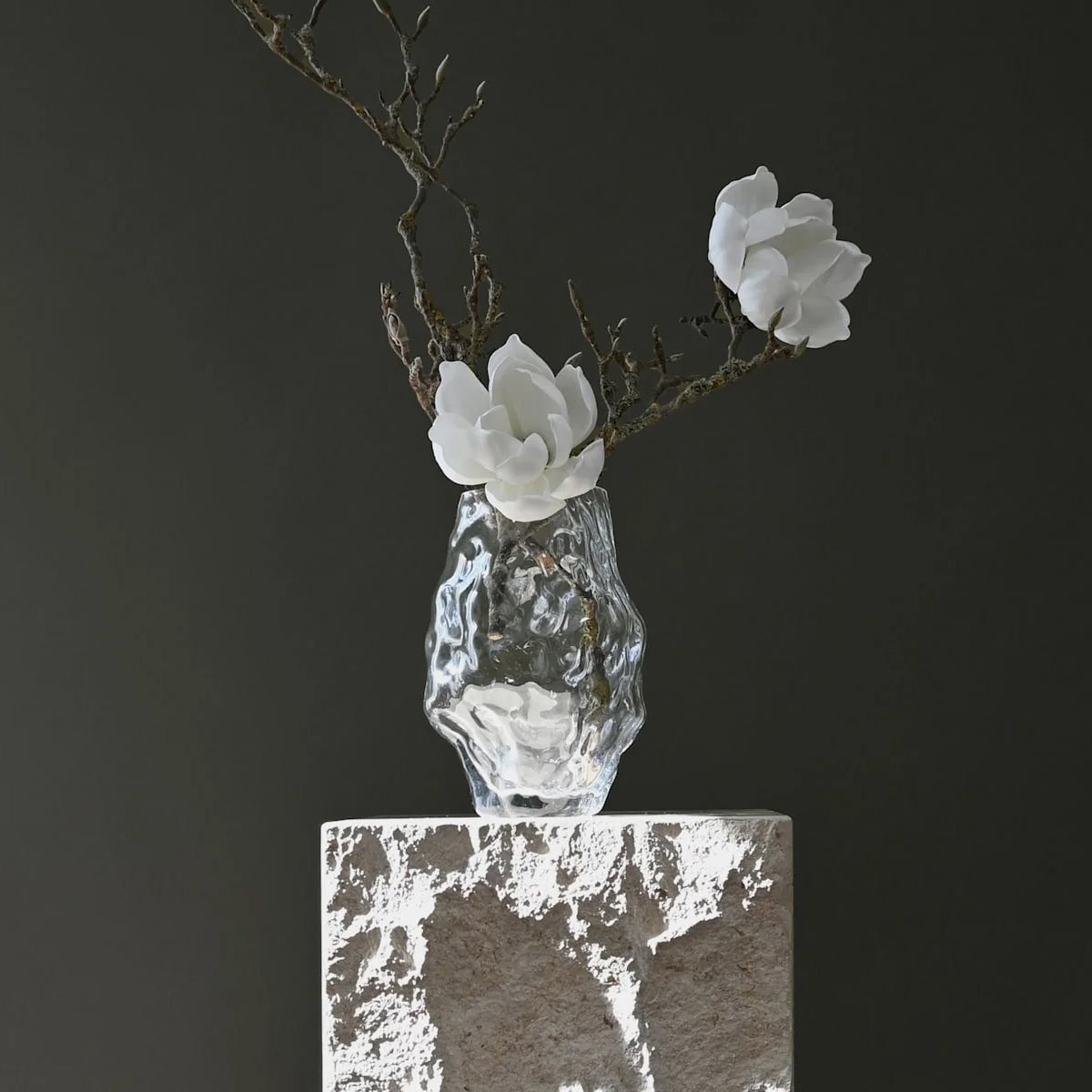 101 CPH Katachi Vase - Mini - Clear