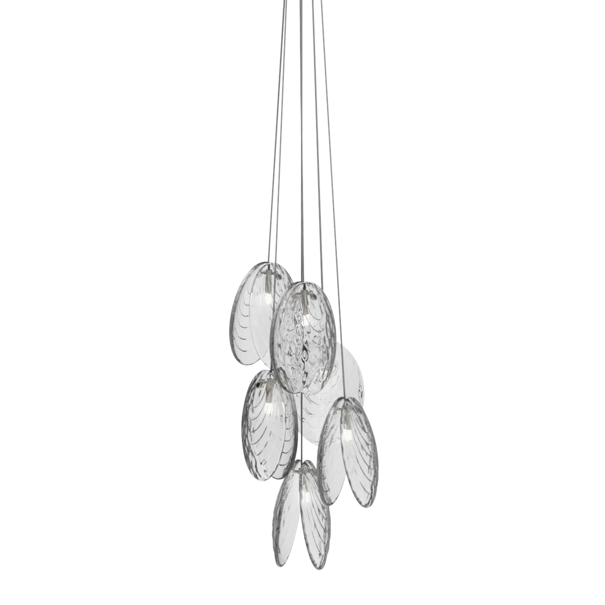 Bomma Mussels - Cluster 6 pcs. - Clear - Inkl. Rosette