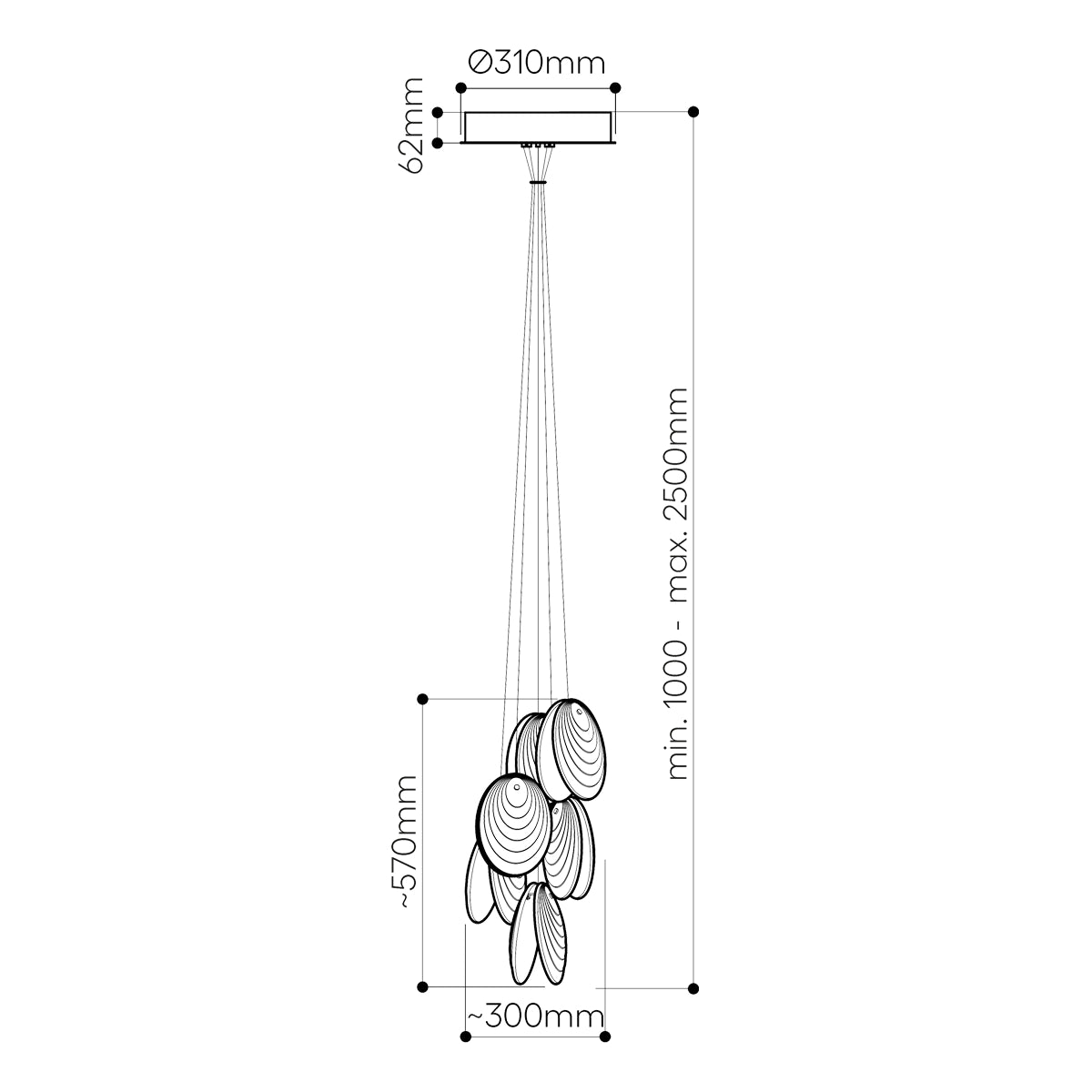 Bomma Mussels - Cluster 6 pcs. - Clear - Inkl. Rosette