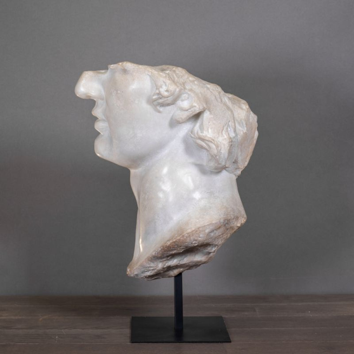 Fragment of Apollo Small Metropolitan - 53 cm