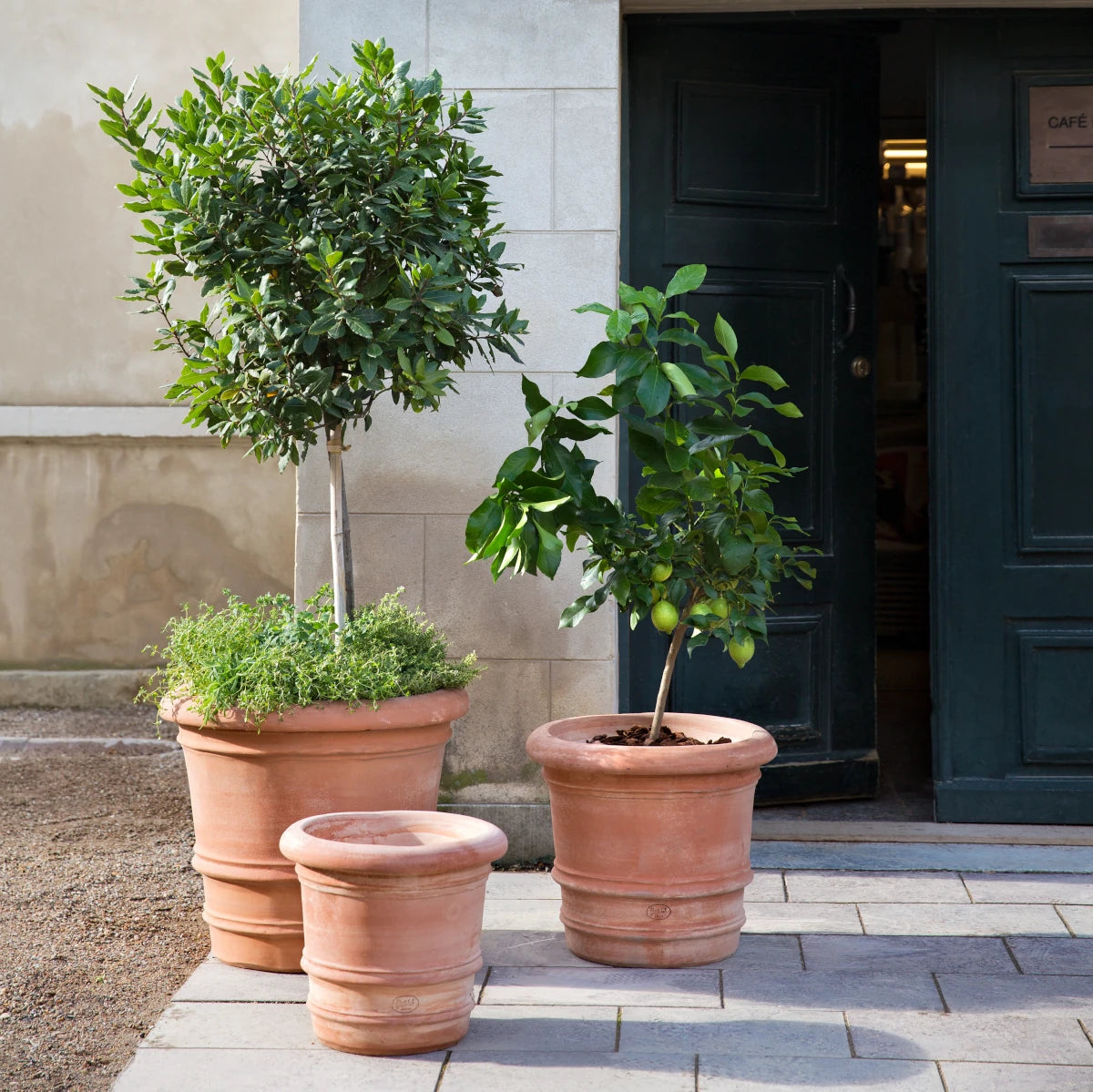 Bergs Potter Lucca krukke - 40x36 - rosa terracotta