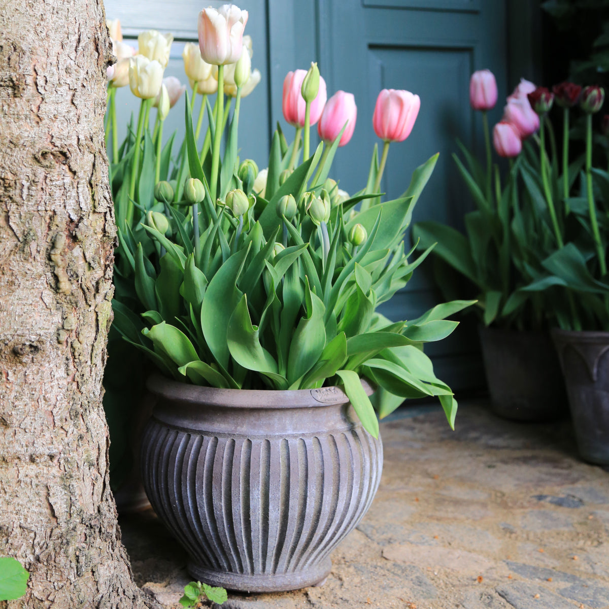 Bergs Potter Piccolina krukke - 35x31 - grå terracotta