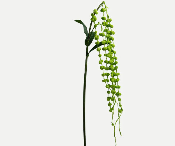 Botané Snake buket