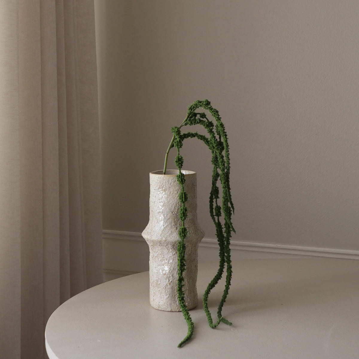 Botané Amaranthus Caudatus blomst - mørkegrøn