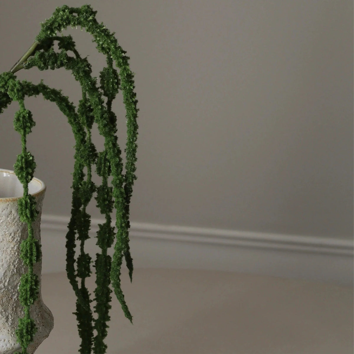 Botané Amaranthus Caudatus blomst - mørkegrøn