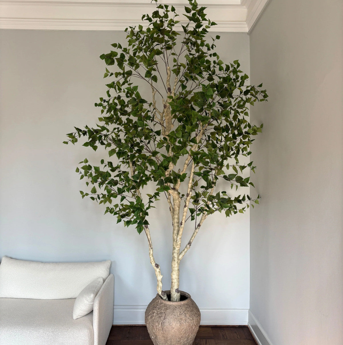 Botané Birch Tree Green - 300 cm