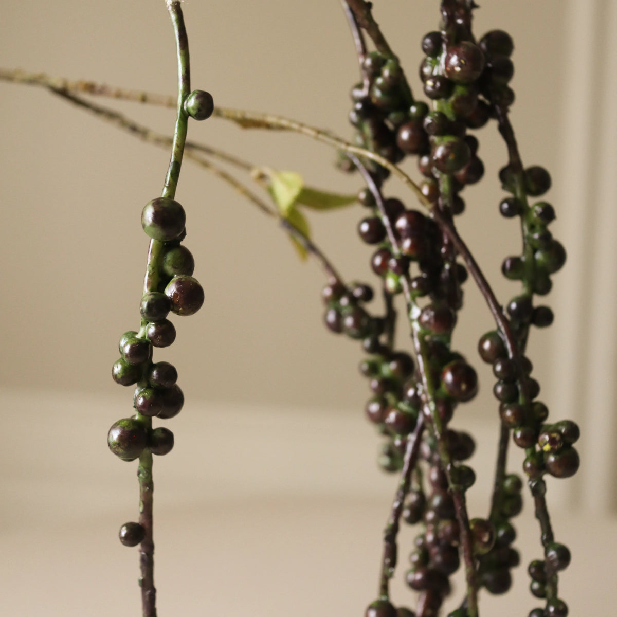 Botané Peppercorn Berry gren - sort