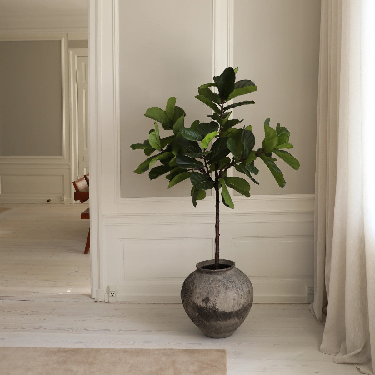 Botané Fiddle Leaf Fig - 210 cm