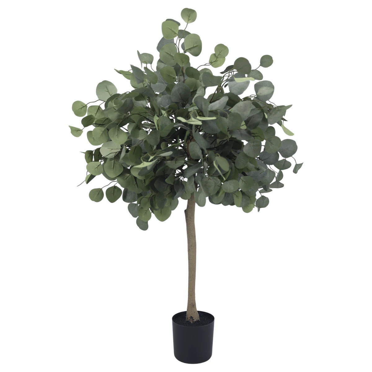 Chic Antique Eucalyptus træ - 96,5