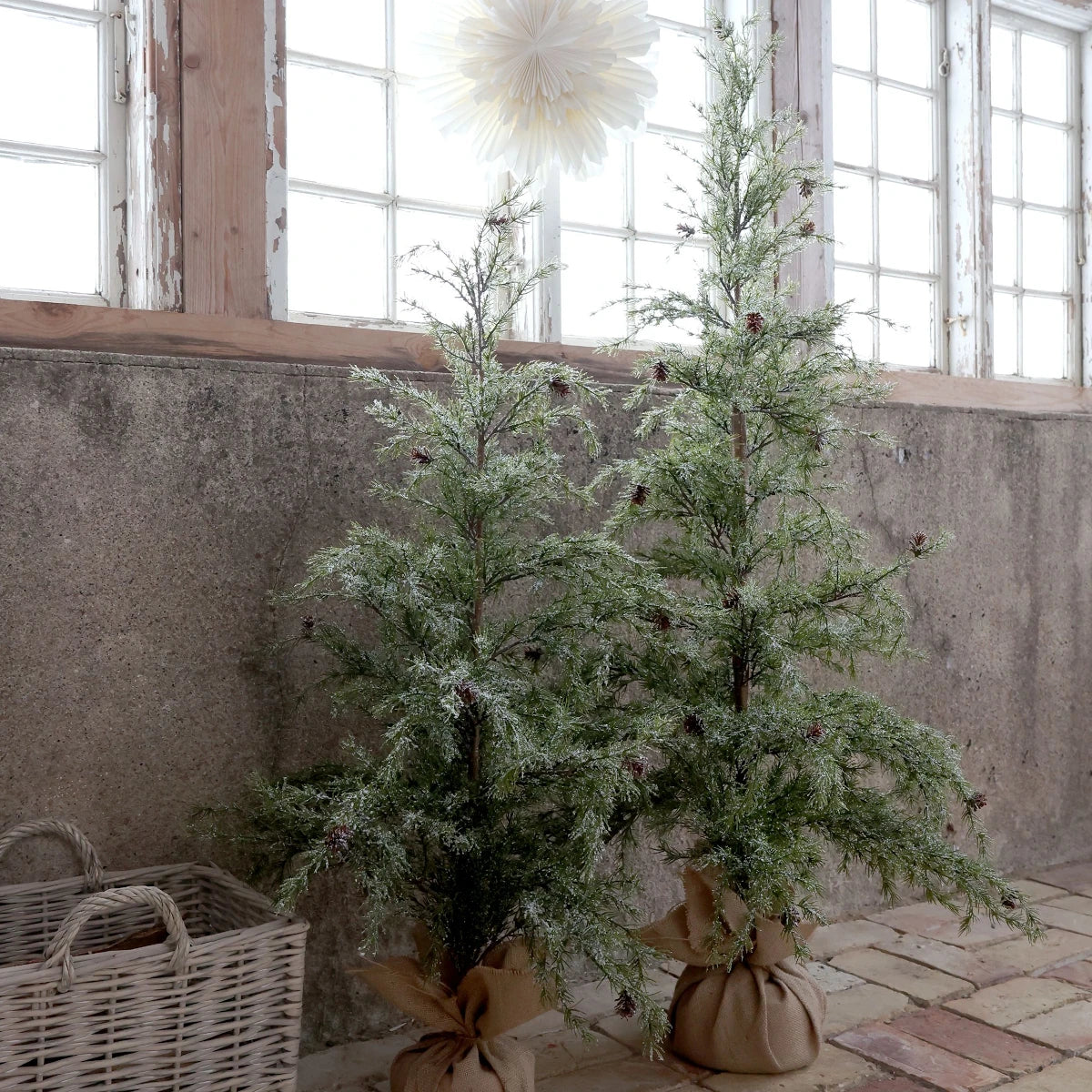Chic Antique Grantræ - kogler/sne - 120 cm