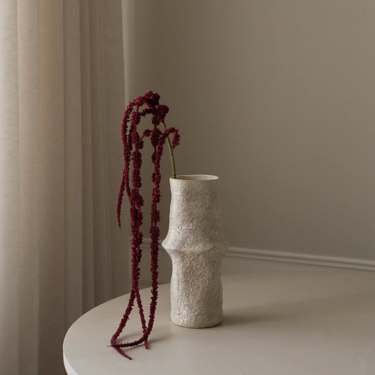 Botané Amaranthus Caudatus blomst - mørkerød