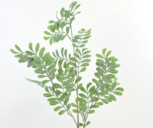 Deko Florale Pepper leaf gren - grøn