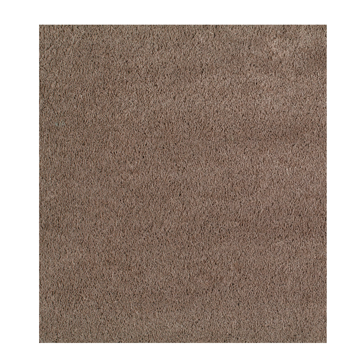 JAB Legend Tæppe - 200x300cm