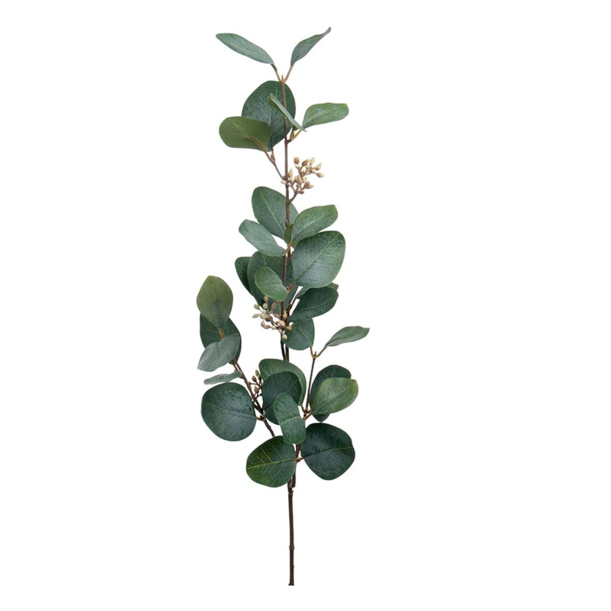 Mr. Plant Eucalyptus gren m/bær - 70