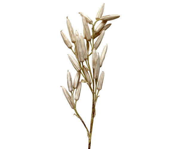 Chic Antique Fleur liljegren - creme